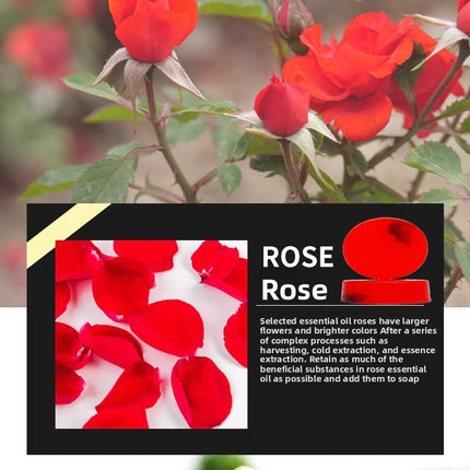 Manufacturer Wholesale Oval Rose Jasmine Handmade Soap for Men and Women Bathing and Face Washing Soap Oil Control Soap Plant Essential Oil Soap