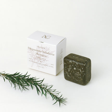 Shampoo Soap Sample Herbal Plant Platycladus Arborvitae Leaf Shampoo Soap Bar Travel Size Mini Portable Travel Hotel Small Soap