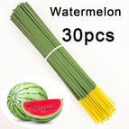 Watermelon / 30 PCs
