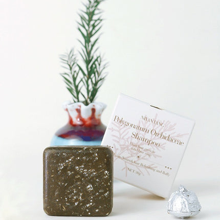 Shampoo Soap Sample Herbal Plant Platycladus Arborvitae Leaf Shampoo Soap Bar Travel Size Mini Portable Travel Hotel Small Soap