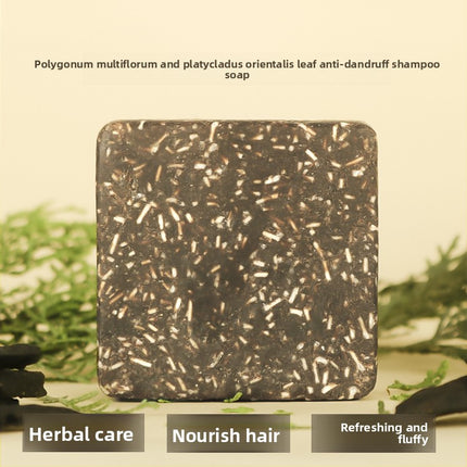 Polygonum Multiflorum and Platycladus Arborvitae Leaf Shampoo Soap Herbal Hair Care Amino Acid Handmade Soap Anti-Dandruff Shampoo Bar Essential Oil Soap Hair Washing Soap